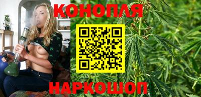 тгк Будённовск