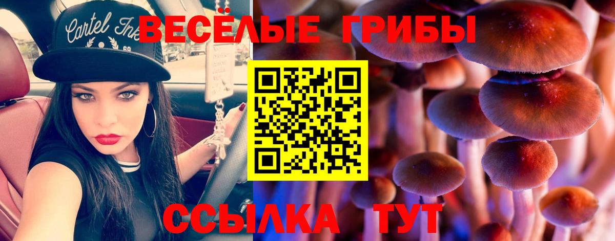 Псилоцибиновые грибы Psilocybine cubensis Похвистнево